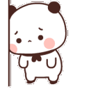 Panda17