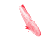 butterflyrevo