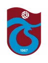 tropikal_ts