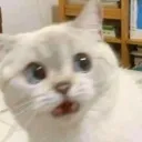 emoji_20