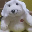 kapanmisayi