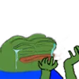 9822pepe16
