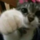 kedi_nah_OwO