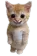 cathaha