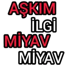 askimMiyav