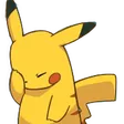 olamaz