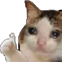 Okeycat