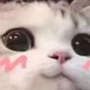 emoji_31