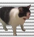 aaaaaaaaaaamaris