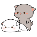cayicla