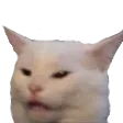 memconfusedcat