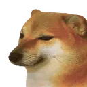 dogedogbruhsadpo