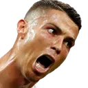 TSLronaldo