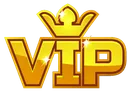 vip2