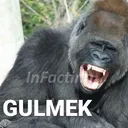 gulwek