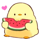 duckwatermelon
