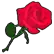 rose0