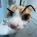therockbaskisiatankedy