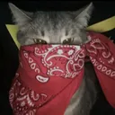 kedybil