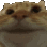 912618469147701258