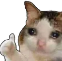 asmr_kediok
