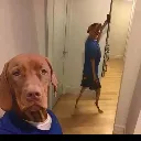 Selfiecekiom