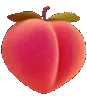 Fsaplak