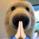 thank_you