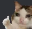 okvai28
