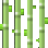 Sugar_Cane
