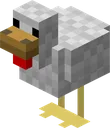 Tavuk