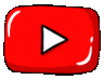 yt1_projanti