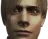 leonstare