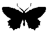 1117078776870867014