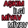 askim_ilgi