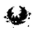 bat63