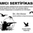 amc