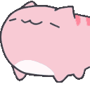 1061catbugpastelpink