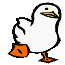 ordek