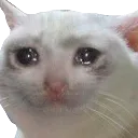 emoji_18
