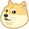 doggy