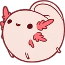 axolotlball