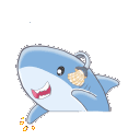 bongoshark