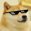 hawli_doge