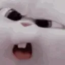 ha