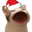 scurott_cat