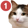scurott_ping