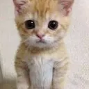 Tm