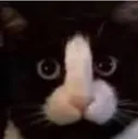 fuckyou