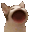 HAMHAM